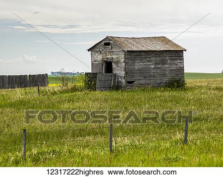 Stock Photograph - A weathered wooden barn and fence in a grass field; Alberta, Canada. Fotosearch