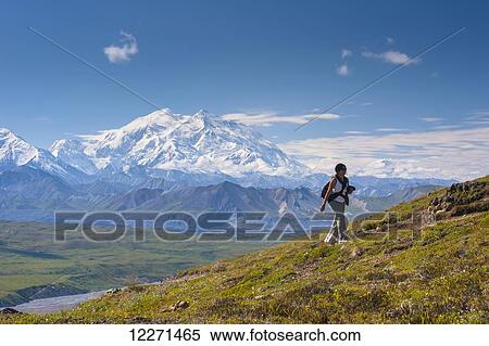 A woman is hiking up a trail near the Eielson Visitor Center in Denali National Park with Mt. McKinley in the background, Interior Alaska View Large Photo Image Stock Photography - A woman is hiking up a trail near the Eielson Visitor Center in Denali National Park with Mt. McKinley in the background, Interior Alaska. Fotosearch