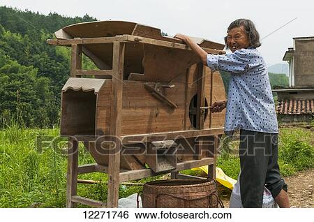 Stock Photograph - A woman works in the rice fields in a small village near to Wuyuan; Jiangxi province, China. Fotosearch