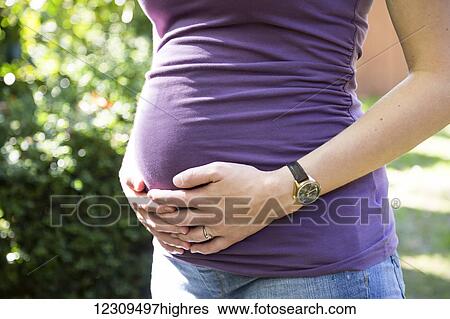 A woman's hands holding her pregnant belly; Surrey, British Columbia, Canada View Large Photo Image Stock Photograph - A woman's hands holding her pregnant belly; Surrey, British Columbia, Canada. Fotosearch