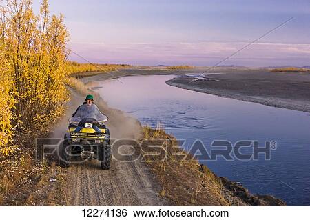 Stock Photograph - A young native Alaskan teen drives an ATV on a colorful tree lined trail along the banks of the Noatak River, Noatak, Arctic Alaska, USA. Fotosearch