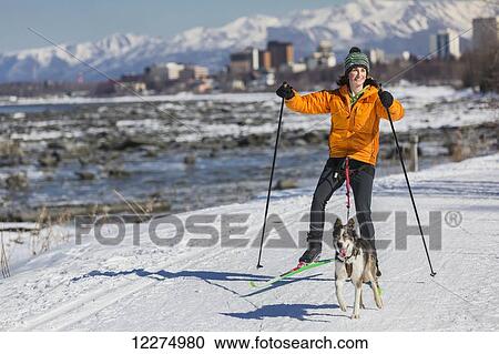 Stock Image - A young woman skijors with her Alaska Husky sled dog down the Tony Knowles Coastal Trail, Anchorage, Southcentral Alaska, USA.. Fotosearch