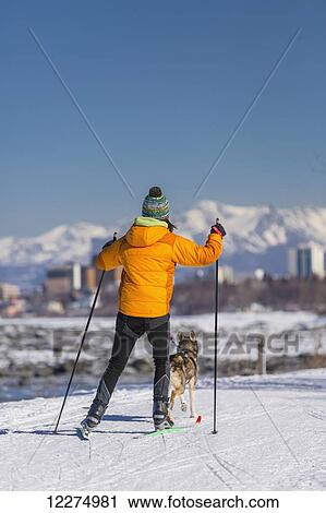 Stock Image - A young woman skijors with her Alaska Husky sled dog down the Tony Knowles Coastal Trail, Anchorage, Southcentral Alaska, USA.. Fotosearch