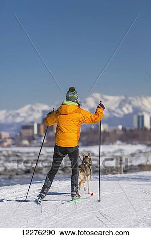 Stock Image - A young woman skijors with her Alaska Husky sled dog down the Tony Knowles Coastal Trail, Anchorage, Southcentral Alaska, USA.. Fotosearch