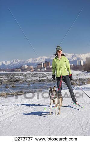 Stock Photo - A young woman skijors with her Alaska Husky sled dog down the Tony Knowles Coastal Trail, Anchorage, Southcentral Alaska, USA.. Fotosearch