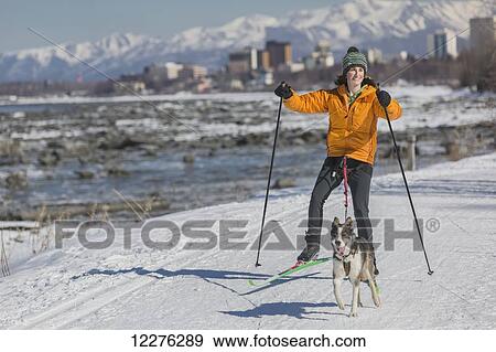 Stock Photo - A young woman skijors with her Alaska Husky sled dog down the Tony Knowles Coastal Trail, Anchorage, Southcentral Alaska, USA.. Fotosearch