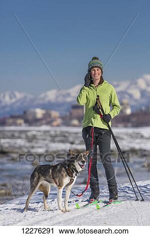 A young woman stops and talks on a cell phone while she skijors with her Alaska Husky sled dog down the Tony Knowles Coastal Trail, Anchorage, Southcentral Alaska, USA. View Large Photo Image Stock Image - A young woman stops and talks on a cell phone while she skijors with her Alaska Husky sled dog down the Tony Knowles Coastal Trail, Anchorage, Southcentral Alaska, USA.. Fotosearch