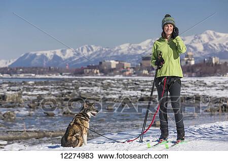A young woman takes a break from skijoring with her Alaska Husky sled dog to talk on her phone, Tony Knowles Coastal Trail, Anchorage, Southcentral Alaska, USA. View Large Photo Image Stock Image - A young woman takes a break from skijoring with her Alaska Husky sled dog to talk on her phone, Tony Knowles Coastal Trail, Anchorage, Southcentral Alaska, USA.. Fotosearch