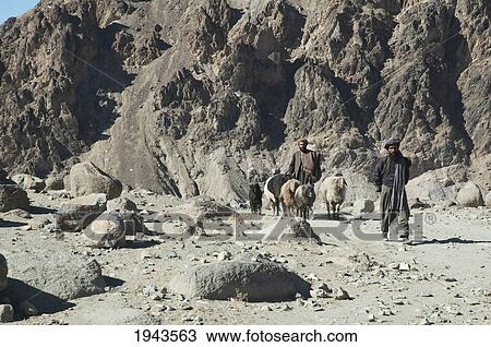 Stock Image - Afghan Men And Their Sheep In The Ghorband Valley, Parwan Province, Afghanistan. Fotosearch