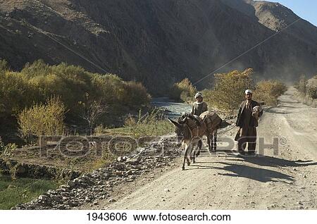 Stock Photograph - Afghan Men With Their Donkeys On A Road Near Ulya, Parwan Province, Afghanistan. Fotosearch