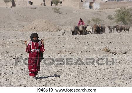 Afghan Shepherd Girl And Sheep On The Torkham To Jalalabad Road, Nangarhar Province, Afghanistan View Large Photo Image Stock Photo - Afghan Shepherd Girl And Sheep On The Torkham To Jalalabad Road, Nangarhar Province, Afghanistan. Fotosearch
