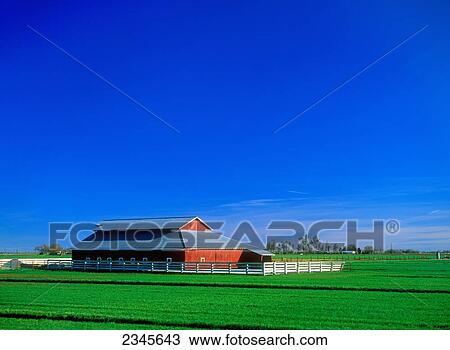 Stock Image - Agriculture - A bright red horse barn stands out against fresh green winter grass / near Artois, Northern California, USA.. Fotosearch