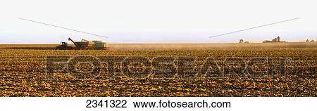 Stock Image - Agriculture - A combine harvests grain corn in late afternoon light and augers it into a grain cart. Fotosearch