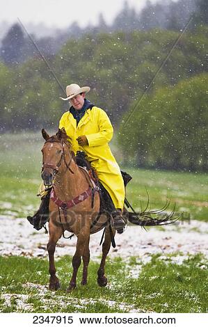 Stock Photography - Agriculture - A cowboy in a yellow slicker rides through a pasture in a snowstorm / near Judith Gap, Montana, USA.. Fotosearch