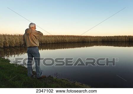 Stock Image - Agriculture - A farmer inspects his mature harvest ready grain corn field that has been flooded by heavy late season rains / Central Iowa, USA.. Fotosearch