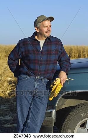 Stock Image - Agriculture - A farmer, leaning on his truck with ears of corn in his hand, looks over his field of partially harvested mature grain corn in the background / Iowa, USA.. Fotosearch