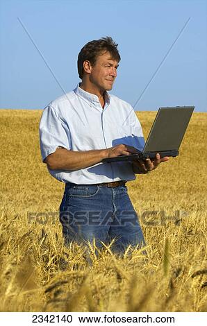 Stock Image - Agriculture - A farmer observes his mature wheat crop and enters crop data into his laptop computer / near Hoffman, Minnesota, USA.. Fotosearch