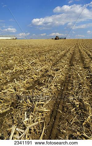 Agriculture - A field in Spring just planted in soybeans no-till into the previous year View Large Photo Image Stock Image - Agriculture - A field in Spring just planted in soybeans no-till into the previous year. Fotosearch