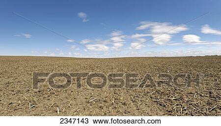 Stock Image - Agriculture - A field in Spring prior to planting that was tilled after the Autumn harvest and showing leftover corn residue / Central Iowa, USA.. Fotosearch