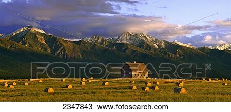 Agriculture - A field of hay bales frame an old western wooden barn with the dramatic Mission Mountain Range in the background / near Pablo, Montana, USA. View Large Photo Image Stock Image - Agriculture - A field of hay bales frame an old western wooden barn with the dramatic Mission Mountain Range in the background / near Pablo, Montana, USA.. Fotosearch