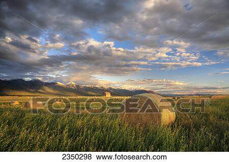Stock Photo - Agriculture - A field of hay bales frame an old western wooden barn with the dramatic Mission Mountain Range in the background / near Pablo, Montana, USA.. Fotosearch