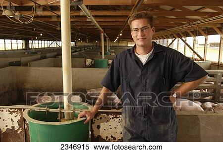 Stock Photography - Agriculture - A hog producer poses in a confinement facility / Iowa, USA.. Fotosearch