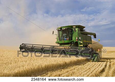 Picture - Agriculture - A John Deere combine harvests barley on steep hillside terrain / near Pullman, Palouse Region, Washington, USA.. Fotosearch