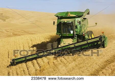 Agriculture - A John Deere combine harvests Soft White wheat on rolling hillside terrain / near Pullman, Palouse Region, Washington, USA. View Large Photo Image Stock Photo - Agriculture - A John Deere combine harvests Soft White wheat on rolling hillside terrain / near Pullman, Palouse Region, Washington, USA.. Fotosearch