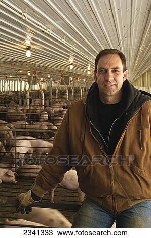Agriculture - A pork producer poses in his hog confinement facility / Central Iowa, USA. View Large Photo Image Stock Image - Agriculture - A pork producer poses in his hog confinement facility / Central Iowa, USA.. Fotosearch