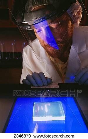 Agriculture - A research scientist creating genetic markers with electrophoresis gels in an agricultural/biotechnology laboratory. View Large Photo Image Stock Image - Agriculture - A research scientist creating genetic markers with electrophoresis gels in an agricultural/biotechnology laboratory.. Fotosearch