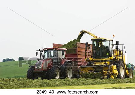 Agriculture - A self propelled forager and tractor with silage wagon in the field collecting cut and windrowed silage / near Penrith, Cumbria, England, United Kingdom. View Large Photo Image Stock Image - Agriculture - A self propelled forager and tractor with silage wagon in the field collecting cut and windrowed silage / near Penrith, Cumbria, England, United Kingdom.. Fotosearch