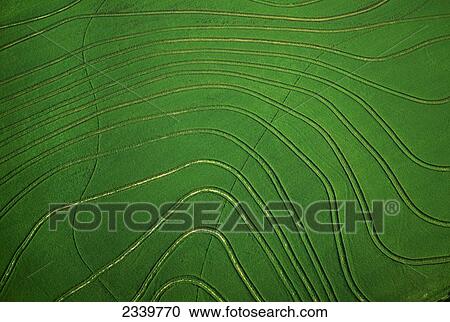 Agriculture - Aerial view of a rice field with levees / near Wynne, Arkansas, USA. View Large Photo Image Stock Image - Agriculture - Aerial view of a rice field with levees / near Wynne, Arkansas, USA.. Fotosearch