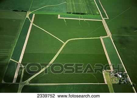 Stock Image - Agriculture - Aerial view of a farmstead and cultivated farmland with a network of grassy waterways in the fields / near Taylor, Illinois, USA.. Fotosearch