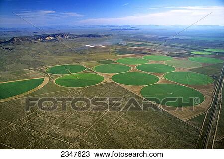Agriculture - Aerial view of center pivot irrigated circular agricultural fields in a desert setting / near Dateland, Arizona, USA. View Large Photo Image Stock Image - Agriculture - Aerial view of center pivot irrigated circular agricultural fields in a desert setting / near Dateland, Arizona, USA.. Fotosearch