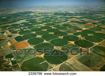 Agriculture - Aerial view of center pivot irrigated circular agricultural fields / near Greeley, Colorado, USA. View Large Photo Image Stock Photo - Agriculture - Aerial view of center pivot irrigated circular agricultural fields / near Greeley, Colorado, USA.. Fotosearch