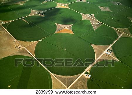 Stock Photo - Agriculture - Aerial view of center pivot irrigated circular agricultural fields / Morgan County, Colorado, USA.. Fotosearch