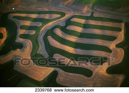 Agriculture - Aerial view of contoured wheat fields, partially cultivated and partially fallow / Palouse Region, Washington, USA. View Large Photo Image Stock Photo - Agriculture - Aerial view of contoured wheat fields, partially cultivated and partially fallow / Palouse Region, Washington, USA.. Fotosearch