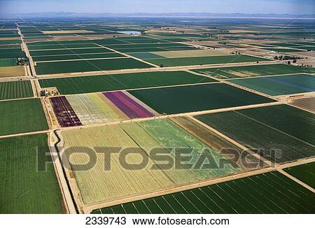 Stock Image - Agriculture - Aerial view of cultivated farmland of various crops / Imperial Valley, California, USA.. Fotosearch