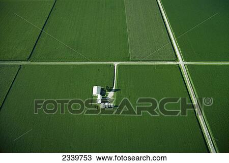 Stock Image - Agriculture - Aerial view of cultivated agricultural fields divided by roads, with a barn and grain bins in the middle of a field / near Mattoon, Illinois, USA.. Fotosearch