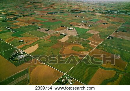 Picture - Agriculture - Aerial view of farmsteads and cultivated and fallow agricultural fields / near Fairview, Iowa, USA.. Fotosearch