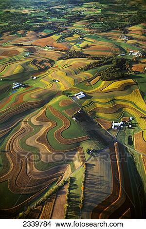 Agriculture - Aerial view of farmsteads surrounded by rolling contoured agricultural fields / near Reading, Pennsylvania, USA. View Large Photo Image Picture - Agriculture - Aerial view of farmsteads surrounded by rolling contoured agricultural fields / near Reading, Pennsylvania, USA.. Fotosearch