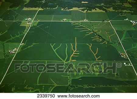 Stock Image - Agriculture - Aerial view of farmsteads and cultivated farmland with a network of grassy waterways in the fields / near Galesburg, Illinois, USA.. Fotosearch