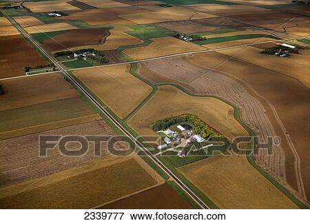 Agriculture - Aerial view of farmsteads and agricultural fields with mature crops in Autumn / Rock County, Minnesota, USA. View Large Photo Image Stock Photo - Agriculture - Aerial view of farmsteads and agricultural fields with mature crops in Autumn / Rock County, Minnesota, USA.. Fotosearch