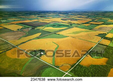 Agriculture - Aerial view of farmsteads and fields of mature winter wheat in Spring / near Elmo, Kansas, USA. View Large Photo Image Stock Photo - Agriculture - Aerial view of farmsteads and fields of mature winter wheat in Spring / near Elmo, Kansas, USA.. Fotosearch