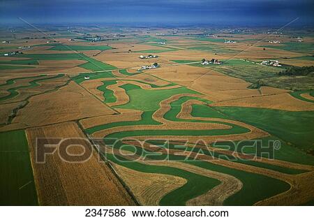 Stock Photograph - Agriculture - Aerial view of farmsteads and contoured corn and alfalfa fields / Lafayette County, Wisconsin, USA.. Fotosearch