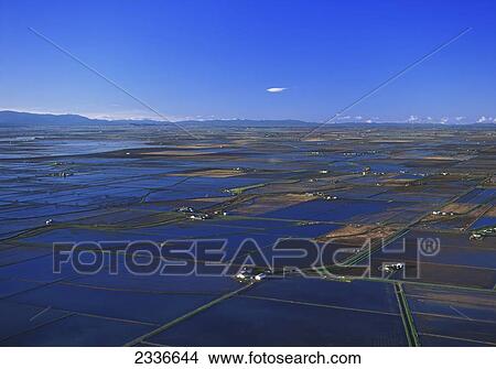 Agriculture - Aerial view of flooded rice fields / Sacramento Valley, California, USA. View Large Photo Image Picture - Agriculture - Aerial view of flooded rice fields / Sacramento Valley, California, USA.. Fotosearch