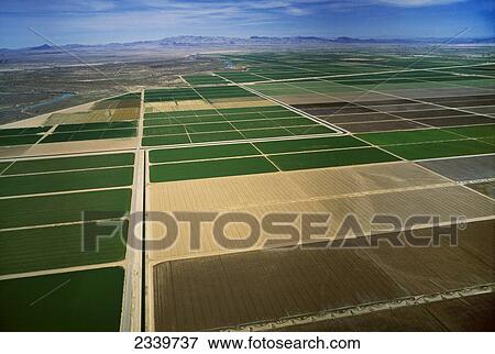 Stock Photo - Agriculture - Aerial view of planted and prepared agricultural fields, with the Colorado River flowing nearby and mountains in the distance / near Parker, Arizona, USA.. Fotosearch