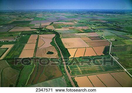 Agriculture - Aerial view of rice fields in Spring in stages of flooding and early growth / Vermilion Parish, Louisiana, USA. View Large Photo Image Stock Image - Agriculture - Aerial view of rice fields in Spring in stages of flooding and early growth / Vermilion Parish, Louisiana, USA.. Fotosearch