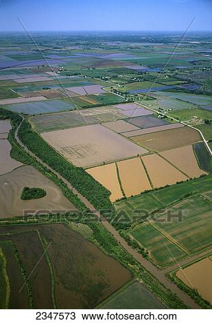 Stock Image - Agriculture - Aerial view of rice fields in Spring in stages of flooding and early growth / Vermilion Parish, Louisiana, USA.. Fotosearch