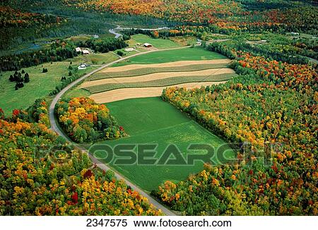 Stock Photography - Agriculture - Aerial view of agricultural fields and a farmstead surrounded by forest showing Autumn colors / Aroostook County, Maine, USA.. Fotosearch